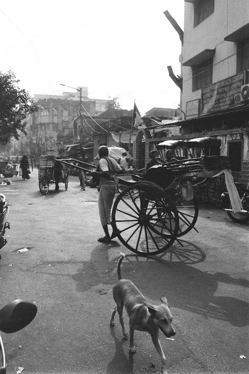 The Morning ride shot on Cinestill BWXX with a Nikon FA, developed at Camera house, by Pathikrit Das