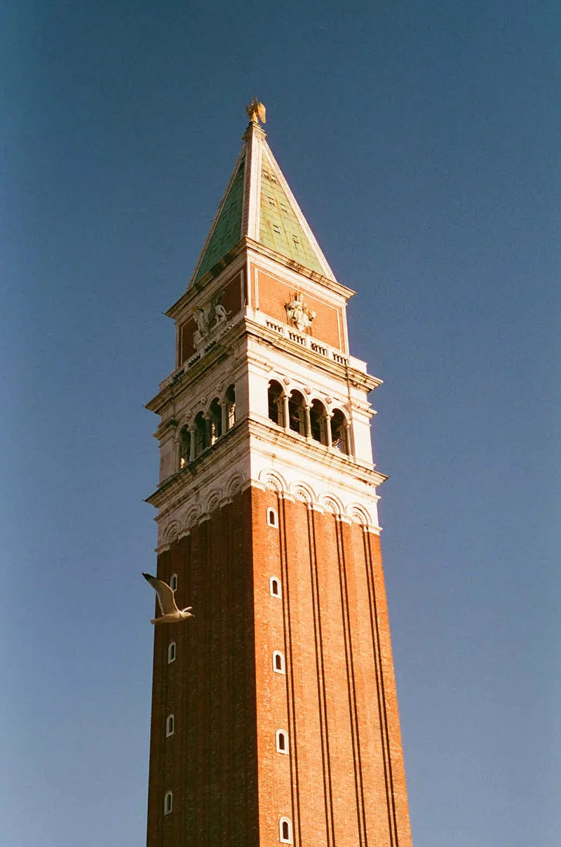 Film photo shot on Cinestill 400D with a Pentax P30, developed at The Film Safe, by alanna