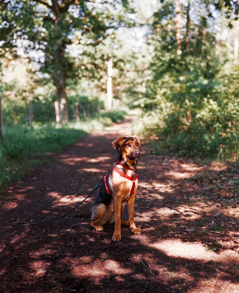 Maya shot on Lomography CN 800 with a Fuji GW670III, developed at Home / Self-Developed, by Mateusz Goliath