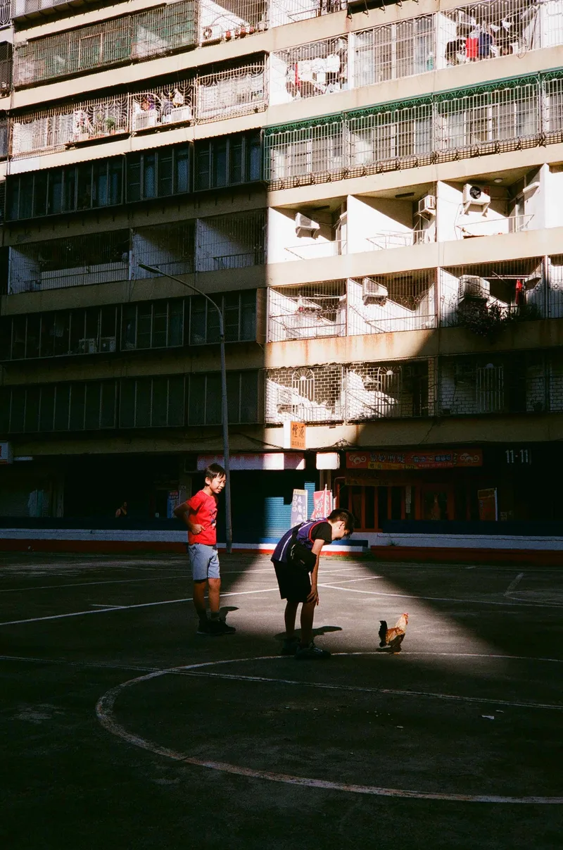 Film photo shot on Fujifilm Superia X-TRA 400 with a Canon Datematic, developed at 麗來攝影, by Calvin W