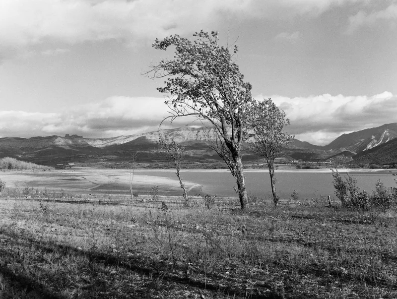 The trees, the lake shot on Ilford HP5 Plus 400 with a Mamiya 645J, developed at Amigou Film Lab, by tsorrou