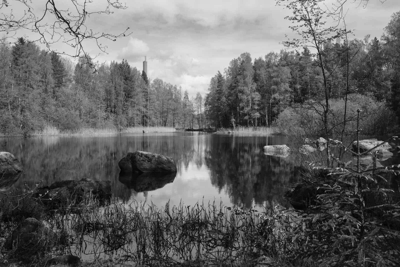 Pond shot on Kodak T-Max 100 with a Fuji GW690, developed at Carmencita, by Jussi