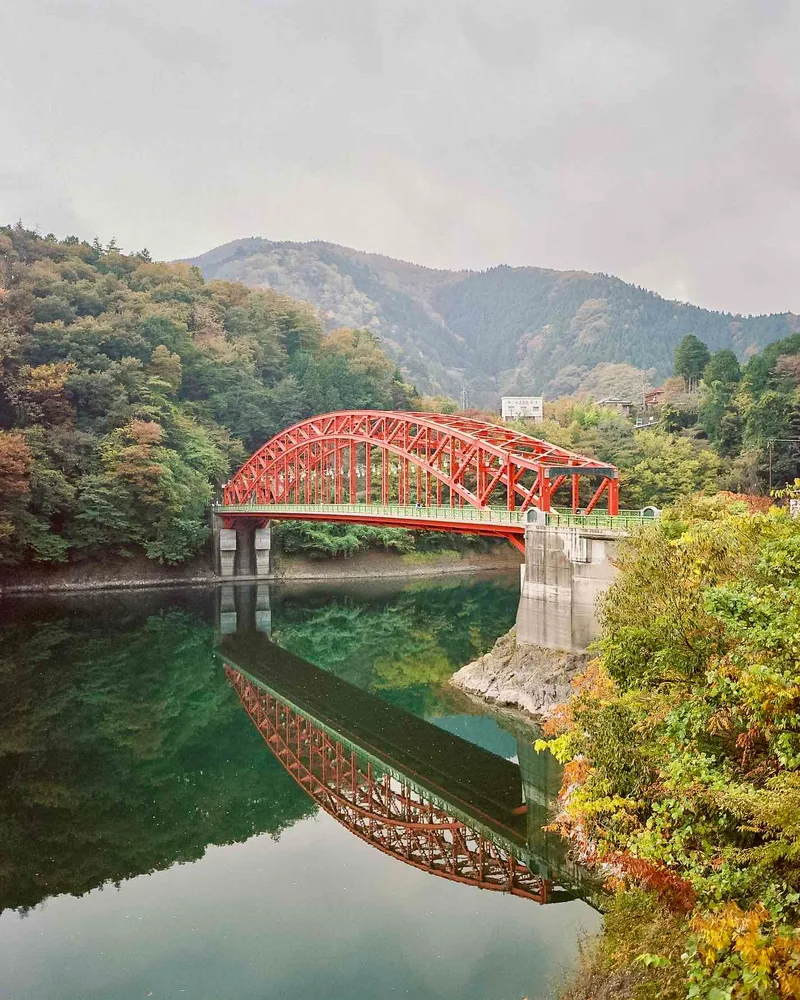 Fall is beautiful shot on Kodak Portra 400 UC with a Mamiya 7, developed at Champ Camera, by Nicholas Smith