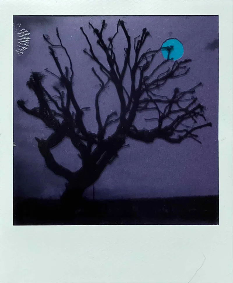 Once in a blue moon shot on Polaroid B&W i-Type with a Polaroid I-2, developed at Instant Film, by MelvynJ