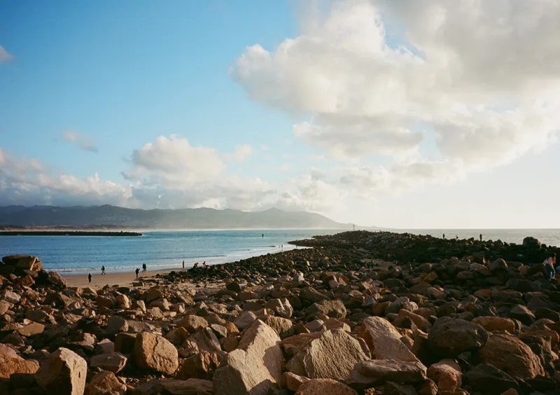 Film photo shot on Kodak Ektar 100 with a Pentax 17, developed at Horn Photo, by Charlie