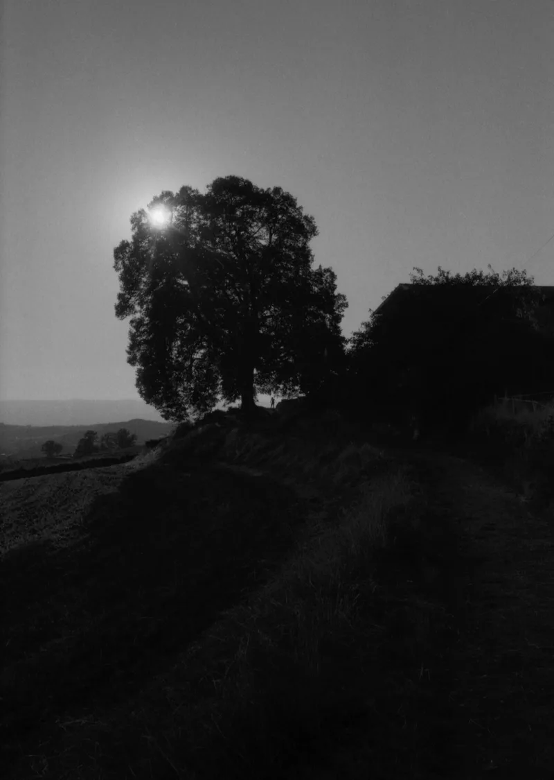 Shadow shot on Nation Photo Nation Photo 400 with a Canon Canonet QL19, developed at Home / Self-Developed, by Ambroise