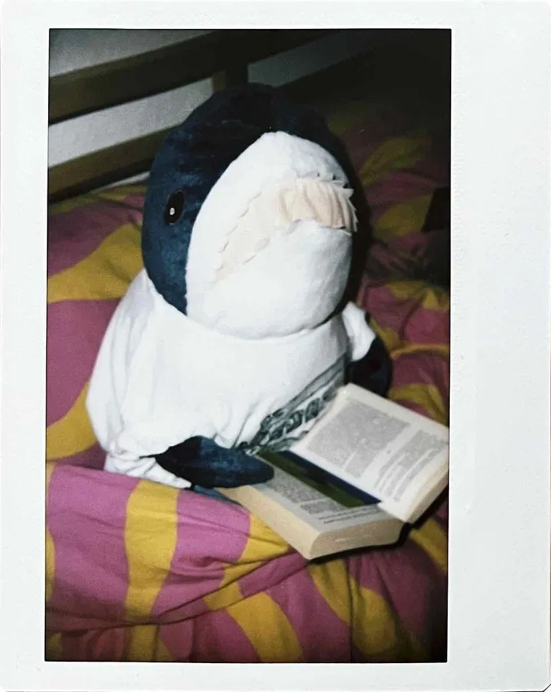 Blahaj reading a book before sleeping shot on Fujifilm Instax Wide with a Fujifilm Instax Wide 300, by Nathan