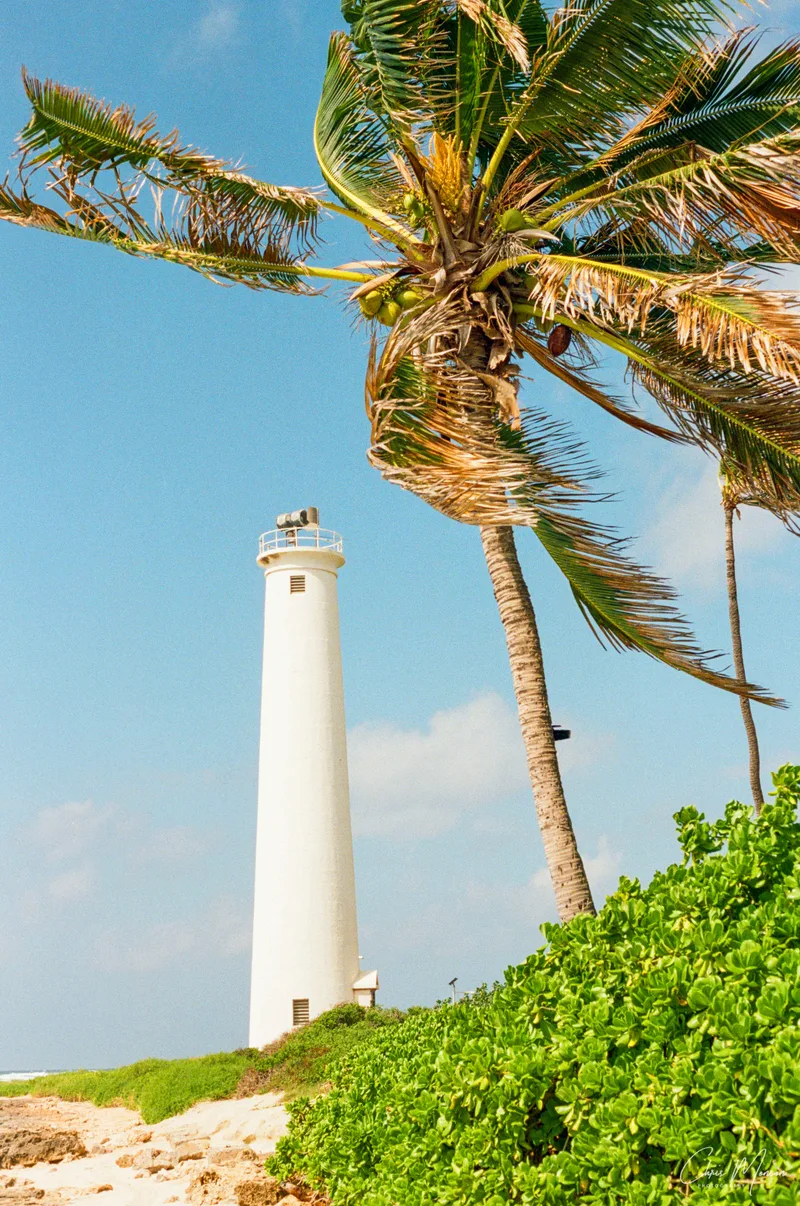Lighthouse and Palm tree shot on Kodak Portra 400 with a Nikon FM2, by Chris