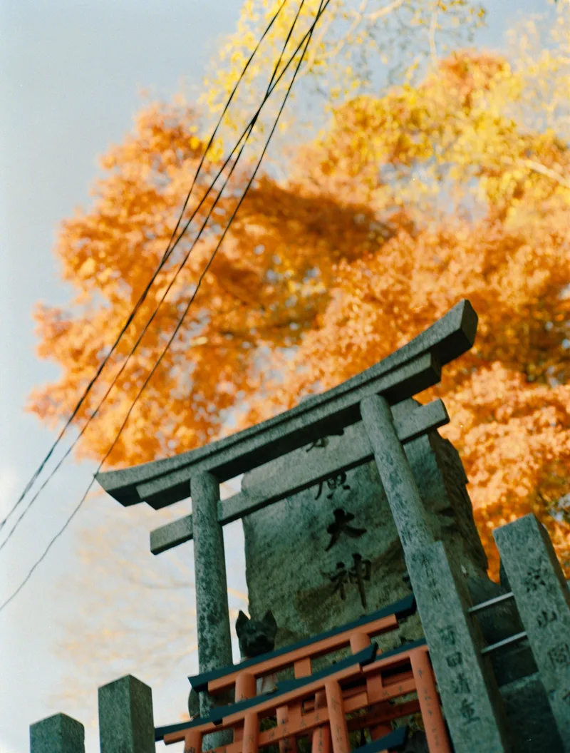 Atop Fushimi Inari shot on Kodak Gold 200 with a Mamiya 645 1000S, developed at Showa, by Sander