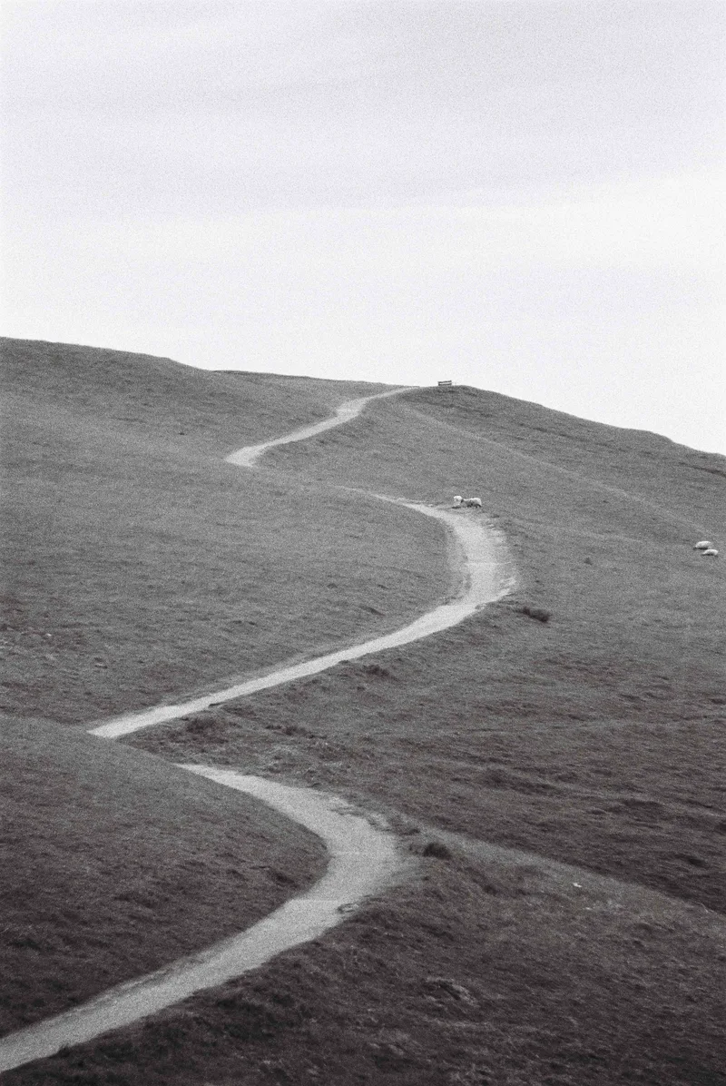 Mountain path shot on Cinestill BWXX with a Canon T70, developed at The Film Safe, by JFR Film