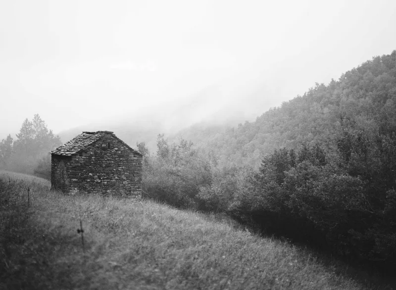 house in the mist shot on Ilford XP2 Super 400 with a Mamiya 645J, by tsorrou