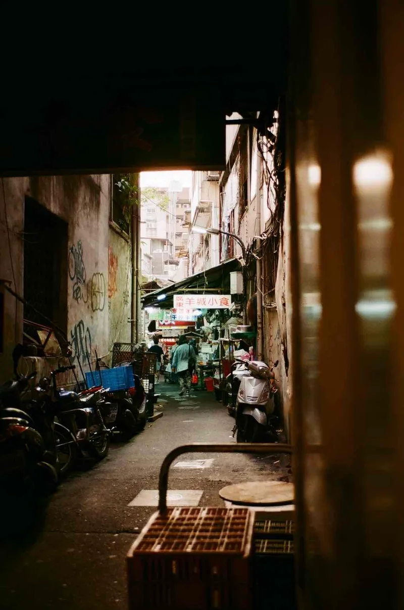 Film photo shot on Fujifilm FujiColor C100 with a Contax T2, by s.hituji