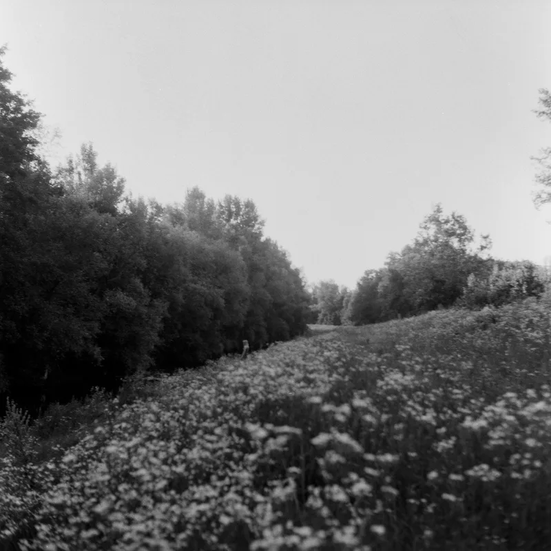 Film photo shot on Foma Fomapan 100 Classic with a Rolleiflex K4A, developed at Home / Self-Developed, by pavle