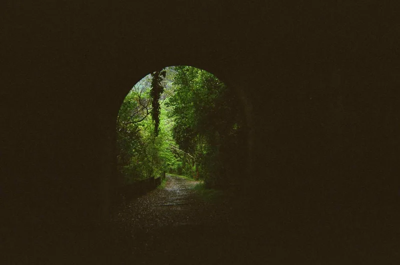 An abandoned train tunnel in Nishinomiya, Japan shot on Kodak Gold 200 with a Kodak Ultra F9, developed at Precision Camera, by Jeremy Cantu
