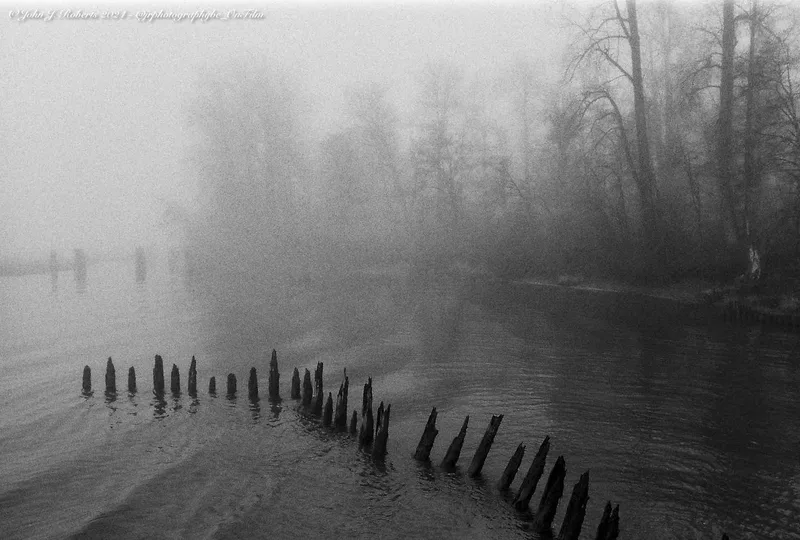 Foggy walk along the river shot on Kodak Double-X 5222 with a Leica R9, developed at The Lab, by John Roberts