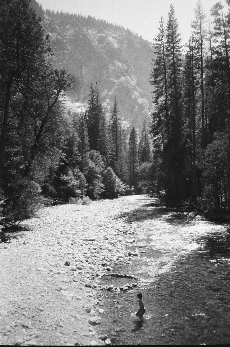 sequoia national park, california shot on Ilford HP5 Plus 400 with a Olympus XA, developed at East LA Film Shop, by Eric Wefald - Huang