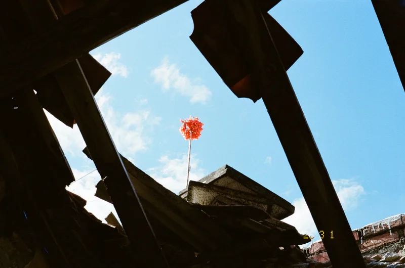 Film photo shot on Fujifilm 400 with a Pentax Espio 105sw, by Bryce