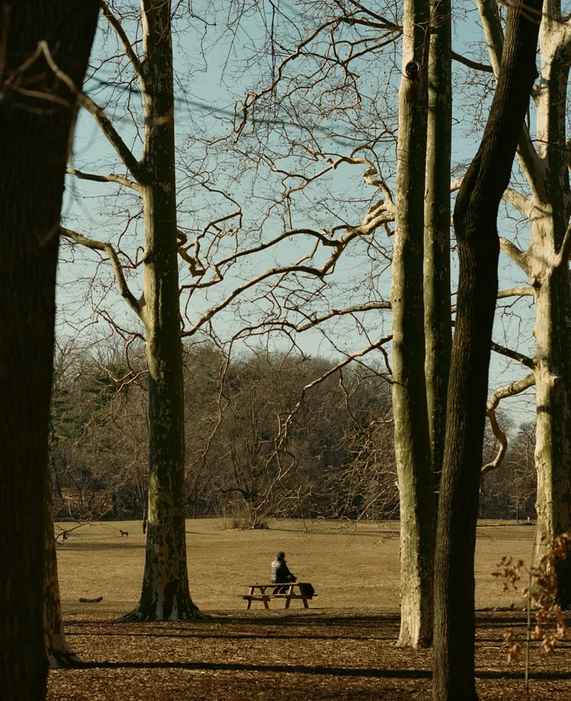 Amongst the Trees shot on Kodak Portra 400 with a Pentax 6x7 MLU, developed at Nice Film Club, by Zach Kaigler