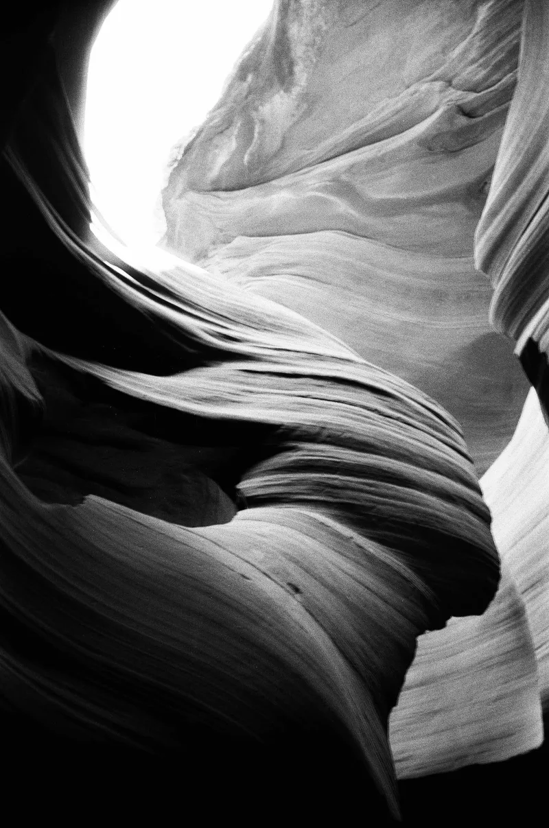 “Lady in the Wind” shot on Ilford Ortho Plus 80 with a Leica C1, developed at Wilson Camera, by Britt Mayberry