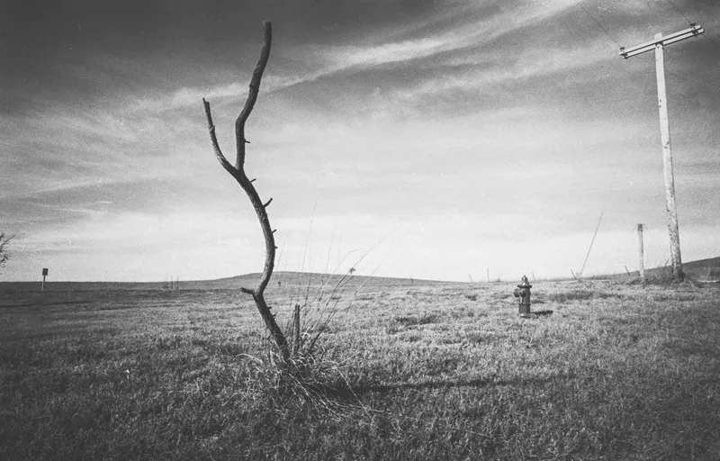 Lone Tree shot on Ilford HP5 Plus 400 with a Graphlex CrownGraphic, developed at Home / Self-Developed, by Bryan
