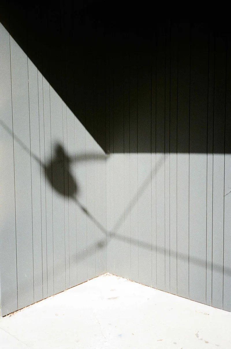 Film photo shot on Kodak UltraMax 400 with a Olympus StylusEpic, developed at GPC Labworks, by james erdeg