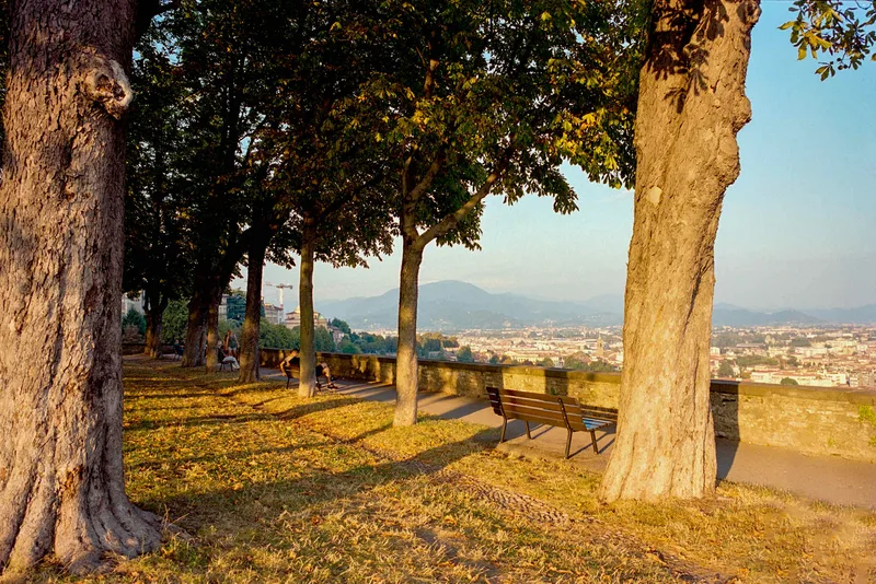 Film photo shot on Kodak Portra 400 with a Contax G1, developed at Processus, by Léa Anoufa