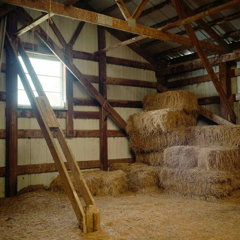 Film photo shot on Kodak Portra 400 with a Rolleiflex 3.5E, developed at Dodge Chrome, by Ryan