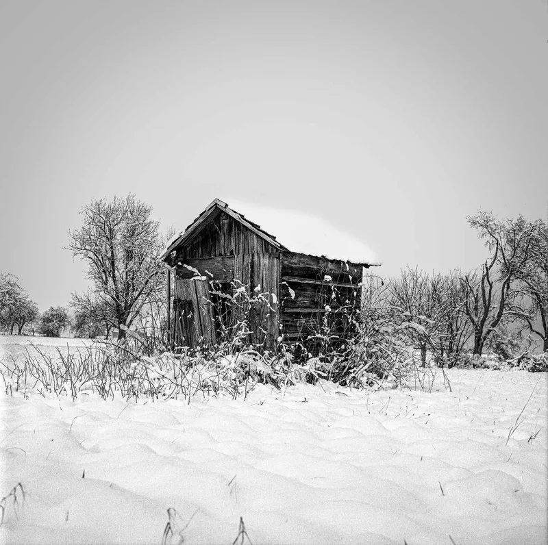 Hut shot on Foma Fomapan 100 Classic with a Yashica Mat 124, developed at Home / Self-Developed, by Hans- B. Sickler