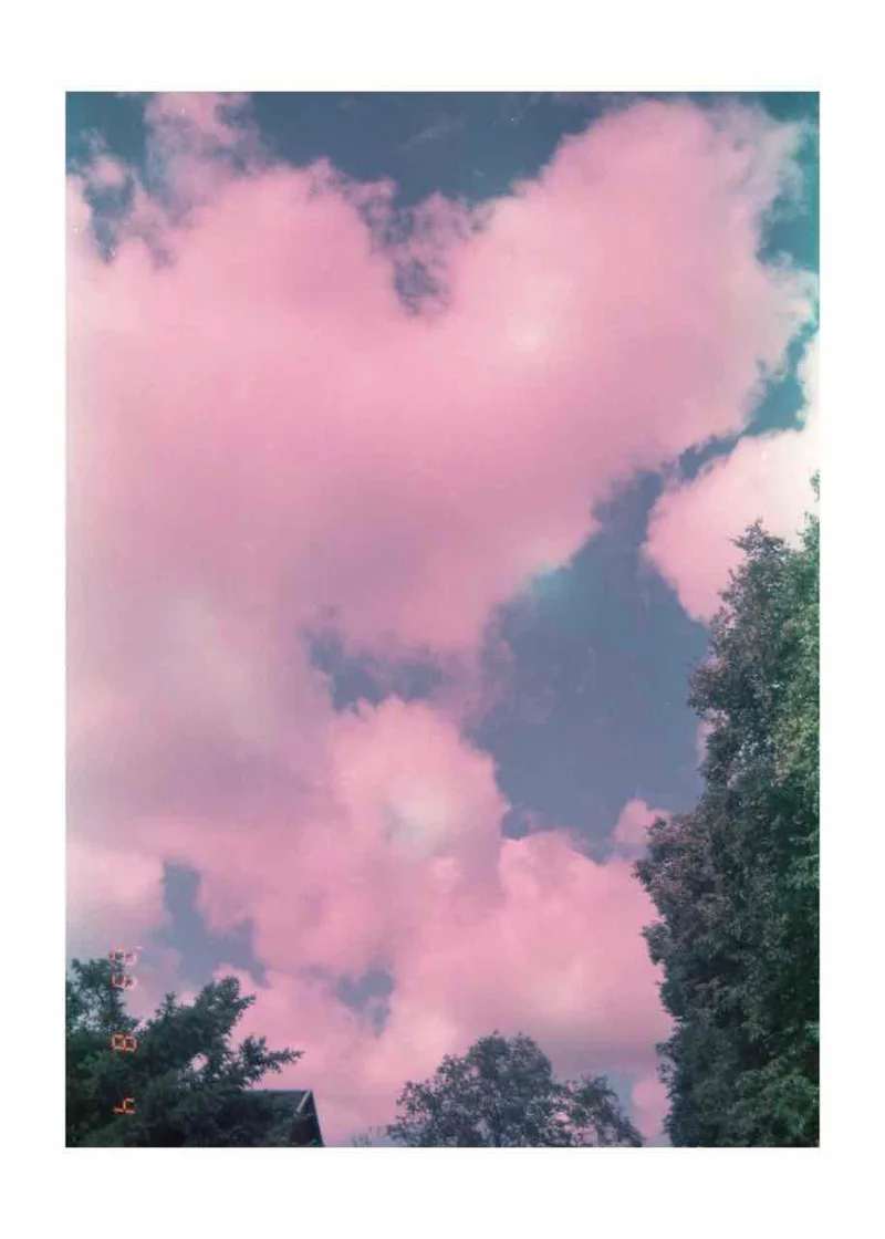 Its just a sky. shot on Kodak Eastman VN 5399 with a Canon EOS 630, developed at المَرتع/al_mart3, by Obey