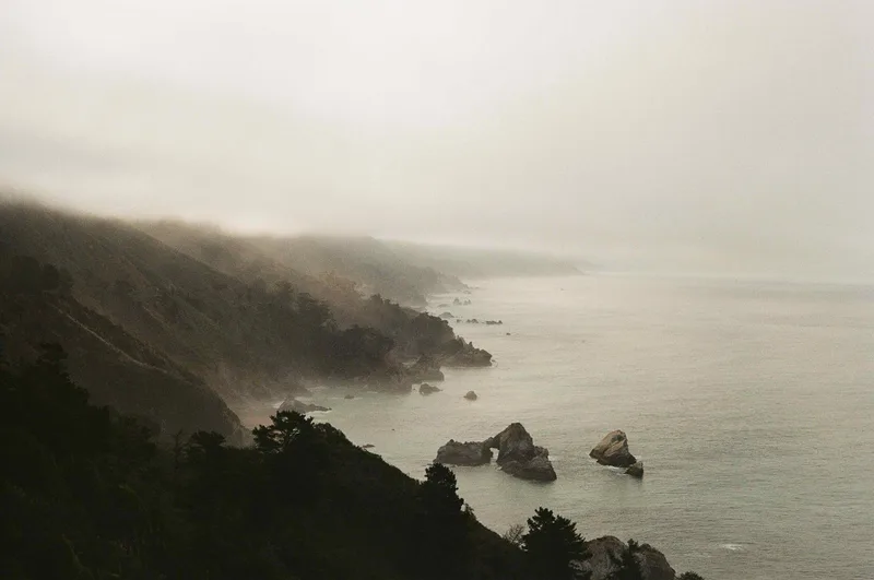 Moody shot on Kodak ColorPlus 200 with a Canon AE-1, developed at Photosource, by OLVR