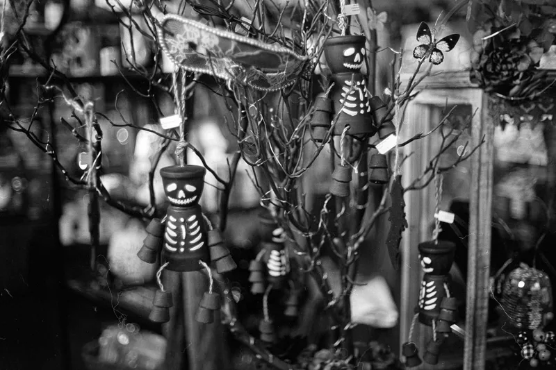 Film photo shot on Film Photography Project Wolfman 100 with a Canon Canonet QL17, developed at Home / Self-Developed, by Cam Cavagnaro