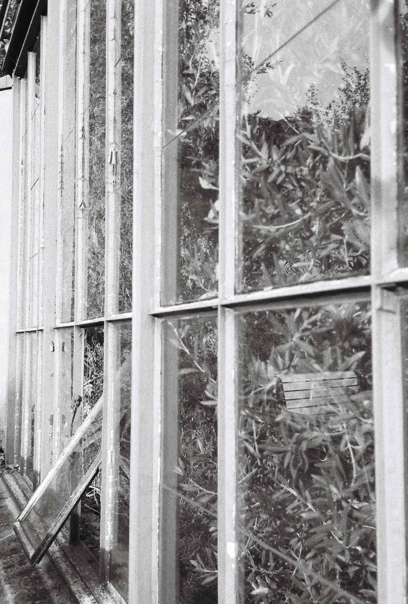 Reflections shot on Foma Fomapan 200 Creative with a Olympus Mju-II, developed at Climent, by Irene Maquilón