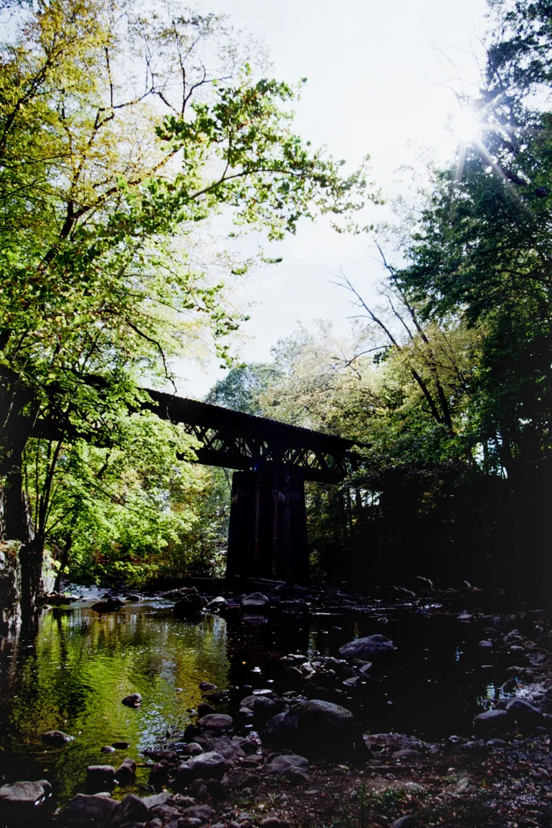 Film photo shot on Kodak Kodacolor 100 with a Canon EOS T2, developed at Unique Photo, by david