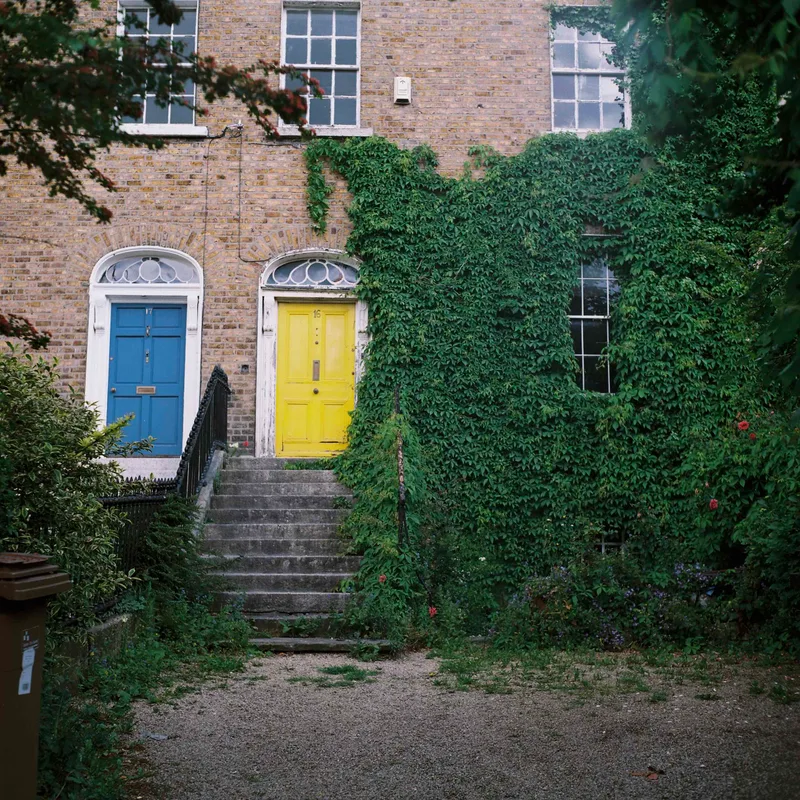 Dublin Doors shot on Kodak Gold 200 with a Yashica Mat 124, developed at The Bigger Picture, by Marc Argentique