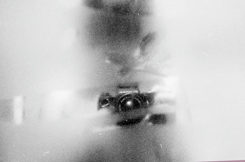 coming back to a feelin' I hadn't soaked in for years shot on Foma Fomapan 100 Classic with a Pentax LX, developed at Fotolabor Görner Dresden, by Lizy