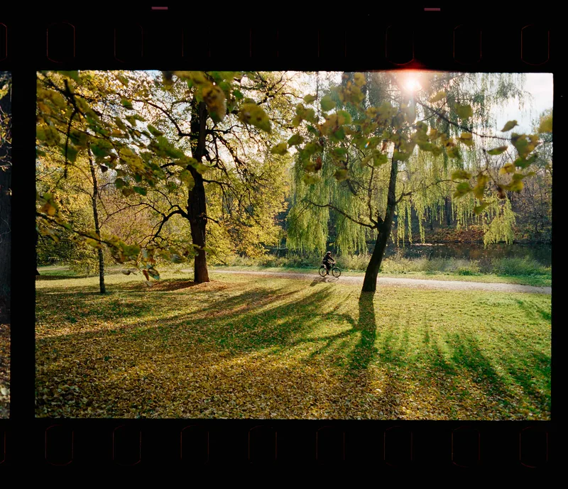 Film photo shot on Kodak Vision 3 500T with a Nikkormat FTN, by Mike