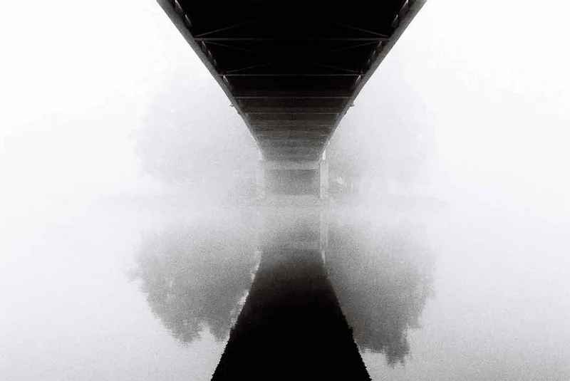 Misty morning III shot on Kodak Tri-X 400 with a Nikon F100, developed at Photo Stella, by Jussi