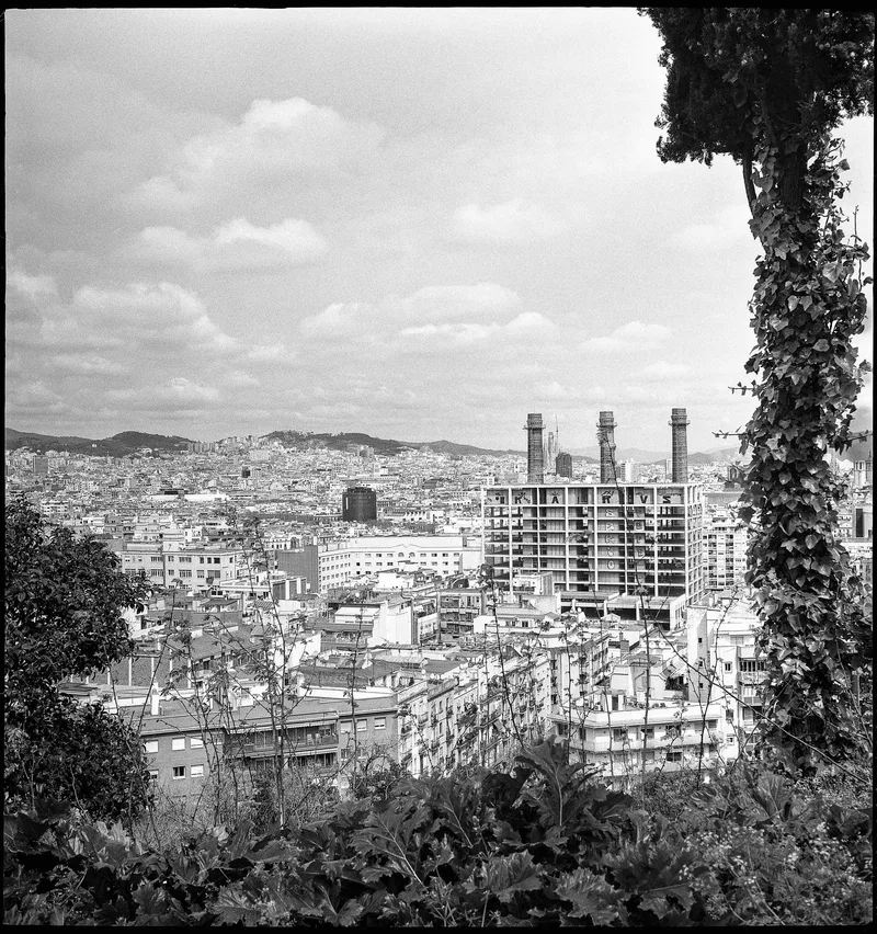 Barna, April 2025. shot on Ilford FP4 Plus 125 with a Rolleiflex, developed at Home / Self-Developed, by tuukka