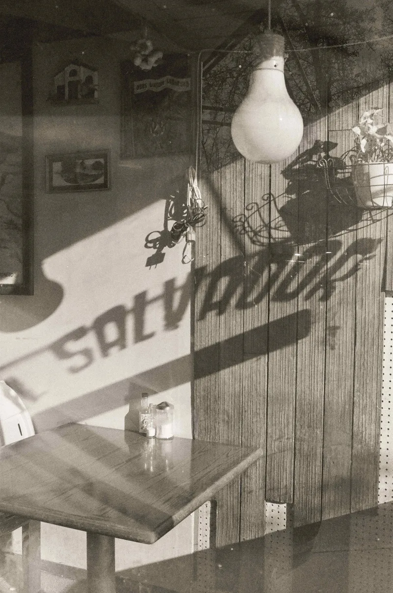 Film photo shot on Bergger Pancro 400 with a Canon AE-1, developed at Essential Photo Supply, by alexis perez