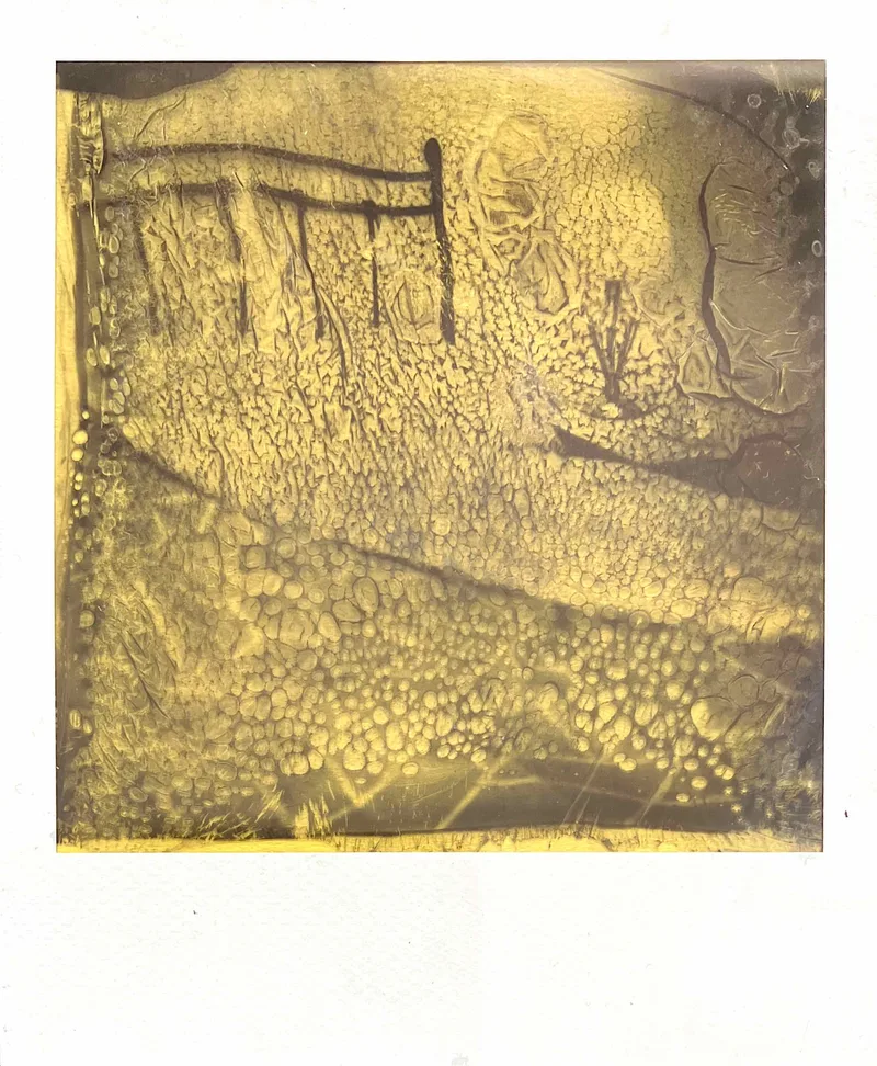 Dreamland shot on Polaroid B&W i-Type with a Polaroid Impulse AF, developed at Instant Film, by MelvynJ