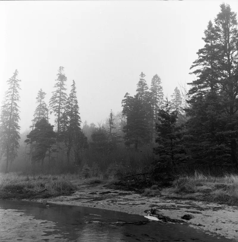 sandy beach, acadia national park shot on Kodak Tri-X 400 with a Rolleiflex Automat, developed at Home / Self-Developed, by Eric Wefald - Huang