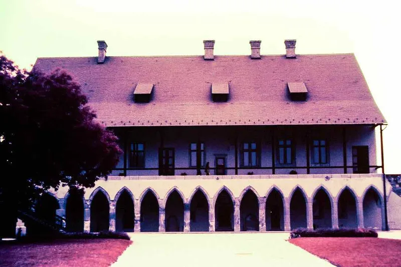 Museum at the City of Eger, Hungary shot on Kodak Ektachrome Infrared EIR with a Nikon FE, developed at Home / Self-Developed, by Ezra