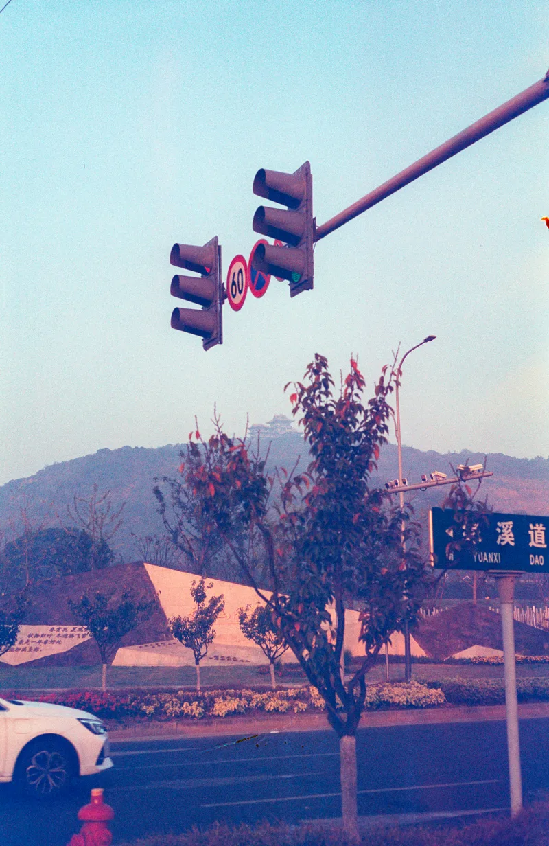 Temple through the trees shot on VibePhoto VibePhoto 400 with a Canon F-1n, developed at Moyo, by Darren Fielding