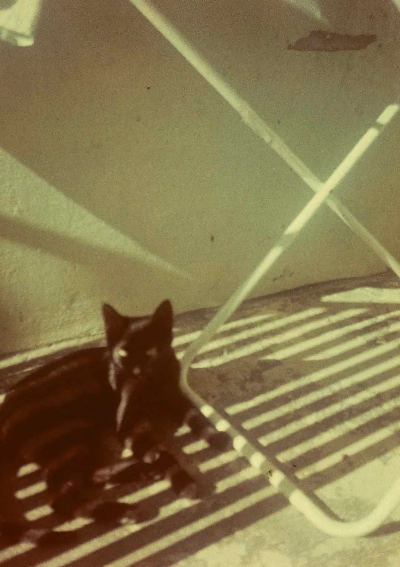 Film photo shot on Ferrania Solaris 100
