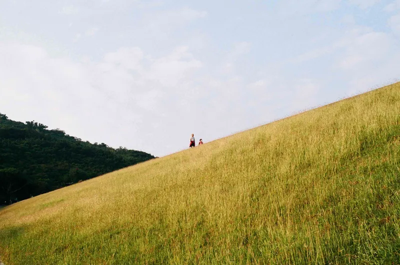 Film photo shot on Fujifilm FujiColor C100 with a Nikon FE, developed at 自由數位, by YUN LING