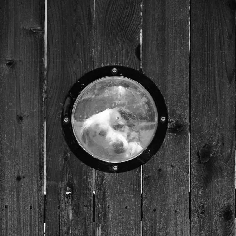 Through the Looking Glass shot on Ilford XP2 Super 400 with a Mamiya 6MF, by Tyler