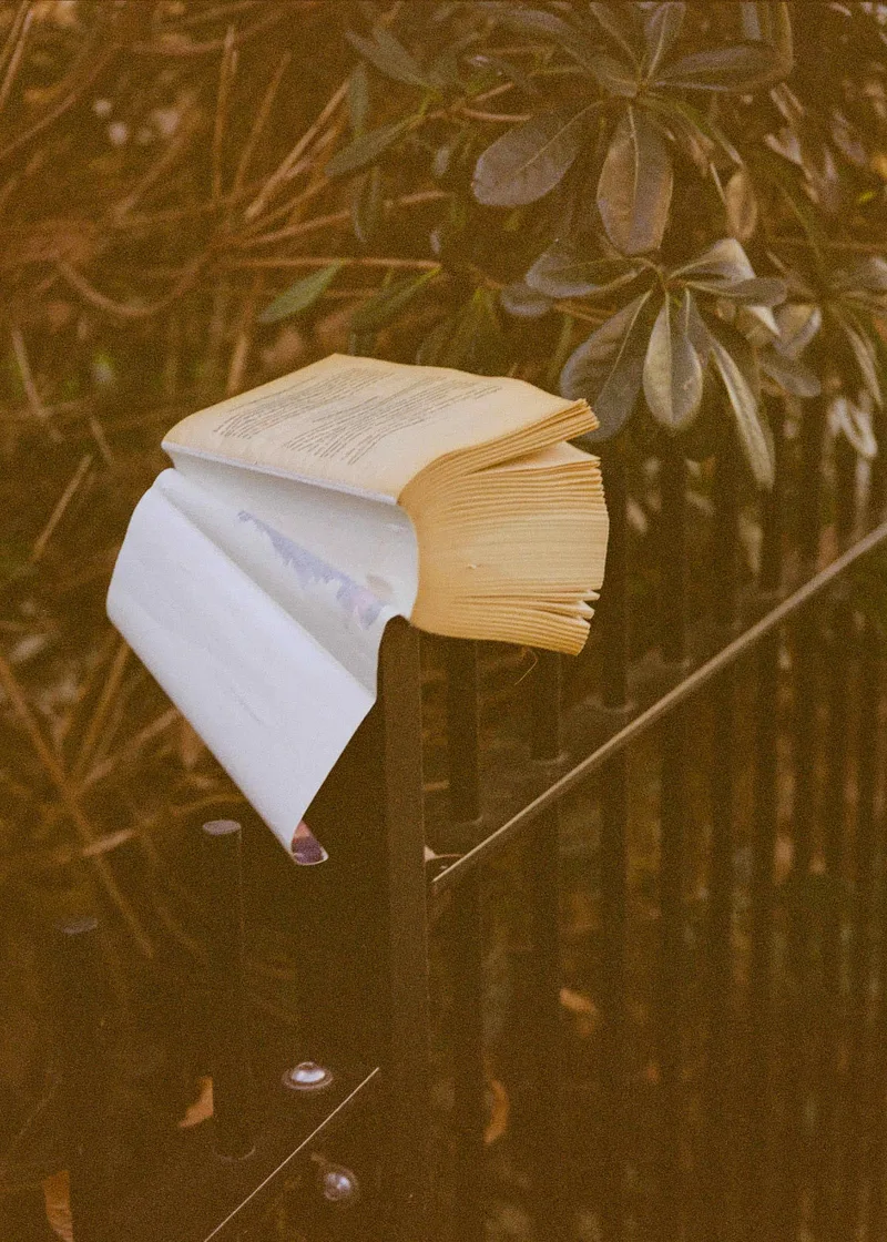 Litter-ature shot on Kodak Portra 800 with a Fuji GA645Zi, developed at Picture This, by Nick De Marco