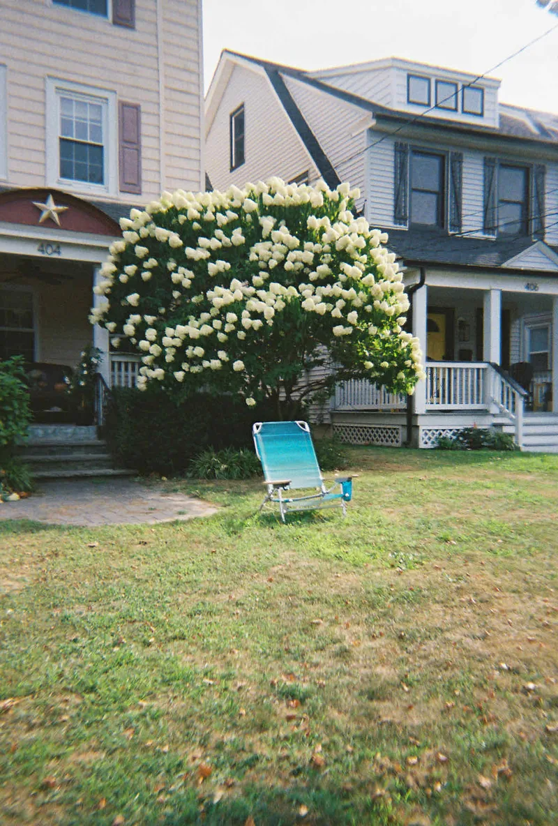 Film photo shot on Lomography CN 400 with a Lomo Simple Use, by Jimmy