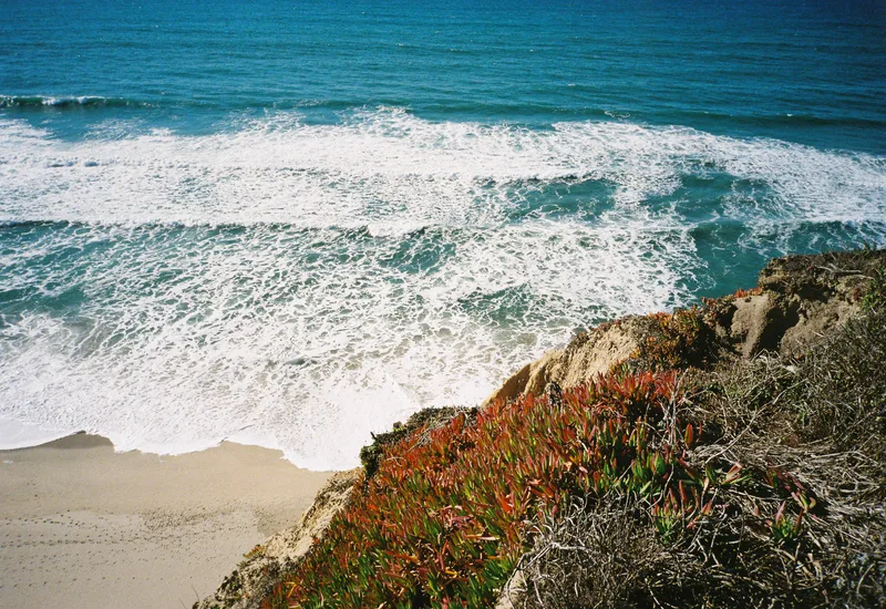 Film photo shot on Kodak UltraMax 400 with a Fujifilm WorkRecord, developed at Boutique Film Lab, by Gaby Salinas