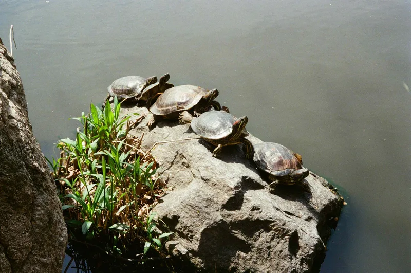 Film photo shot on Kodak UltraMax 400 with a Pentax IQZoom 700, by Katerina